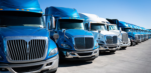 Trucks parked in a line